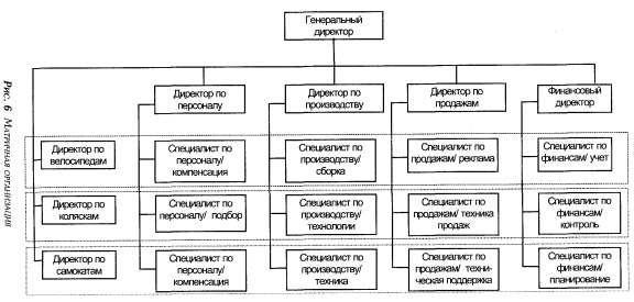 Матричная организация