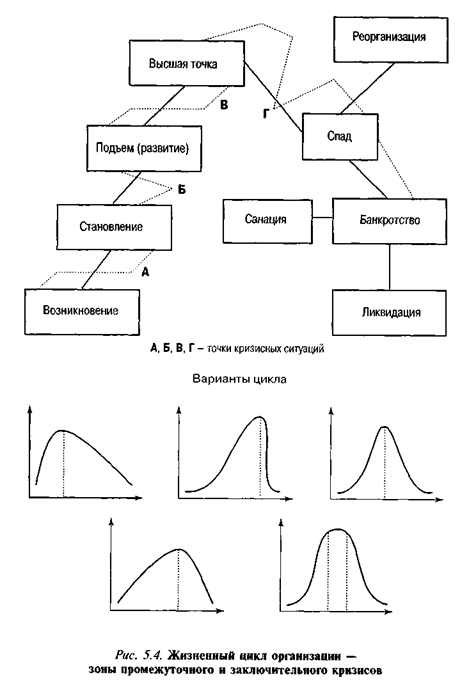 Жизненный цикл организации – зоны промежуточного и заключительного кризисов