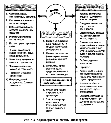 Характеристика фирмы-экслерента