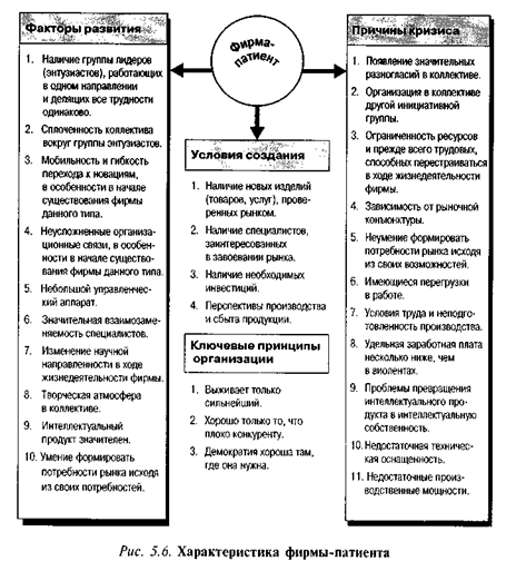 Характеристика фирмы-патиента