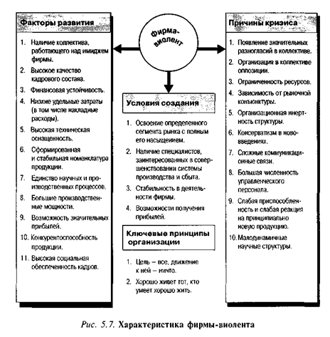 Характеристика фирмы-виолента