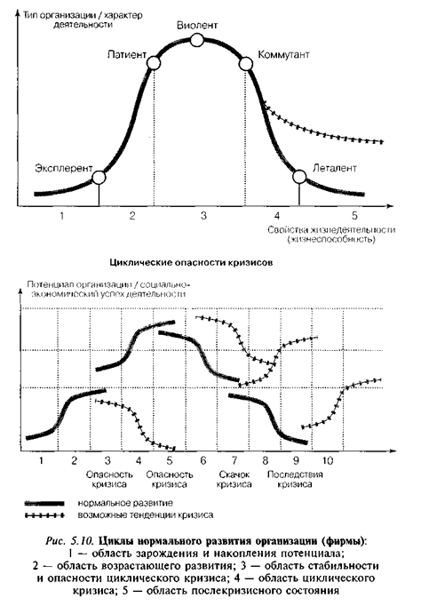 Циклы нормального развития организации (фирмы)