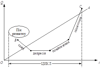 Фази економічного циклу