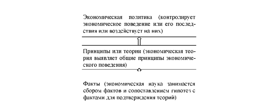 Связь между факторами, принципами и политикой в экономике