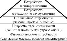 Знаменитый американский социолог Абрахам Маслоу предложил специальную «пирамиду потребностей», которая описывает все возможные виды потребностей и желаний (схема 6).