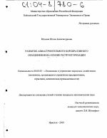 Развитие авиастроительного корпоративного объединения на основе реструктуризации - тема диссертации по экономике, скачайте бесплатно в экономической библиотеке Развитие авиастроительного корпоративного объединения на основе реструктуризации - тема диссертации по экономике, скачайте бесплатно в экономической библиотеке