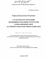 Стратегическое управление предпринимательскими структурами в рекреационной сфере - тема диссертации по экономике, скачайте бесплатно в экономической библиотеке Стратегическое управление предпринимательскими структурами в рекреационной сфере - тема диссертации по экономике, скачайте бесплатно в экономической библиотеке