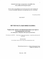 Управление процессами формирования кластеров в мезоуровневых системах - тема диссертации по экономике, скачайте бесплатно в экономической библиотеке Управление процессами формирования кластеров в мезоуровневых системах - тема диссертации по экономике, скачайте бесплатно в экономической библиотеке