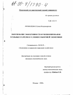 Обоснование эффективности функционирования угольных разрезов в условиях рыночной экономики - тема диссертации по экономике, скачайте бесплатно в экономической библиотеке Обоснование эффективности функционирования угольных разрезов в условиях рыночной экономики - тема диссертации по экономике, скачайте бесплатно в экономической библиотеке