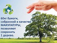 макулатура